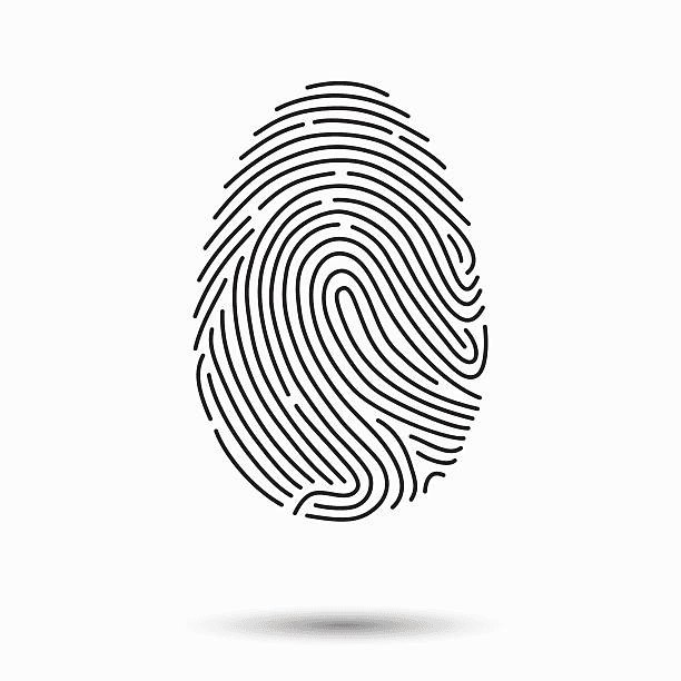 Whorl D (Double Loop)
