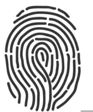 Whorl PE (Peacock Eye)