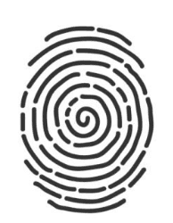 Whorl S (Simple)